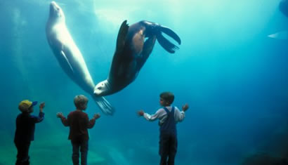 This Alaskan tour features top coastal attractions